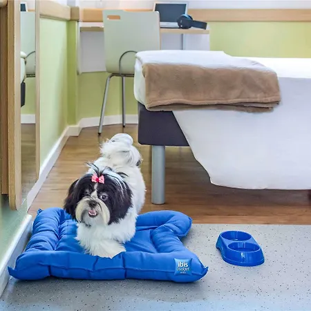 Ibis Budget Nord Otel *