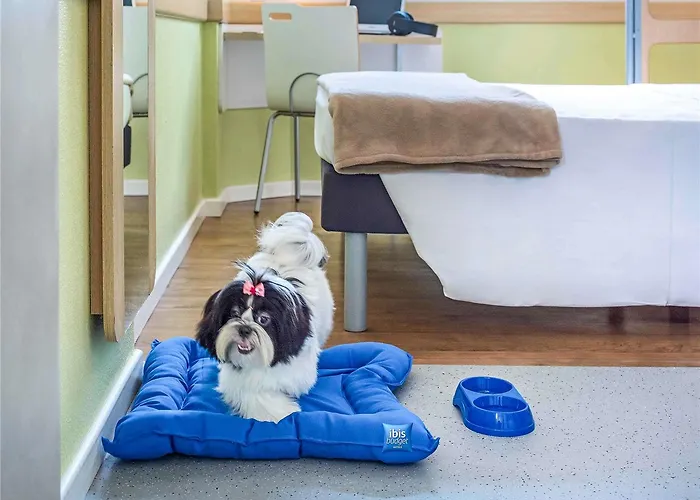 Ibis Budget Nord Hotell *